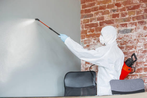 Best Airborne Mold Testing  in Country Knolls, NY