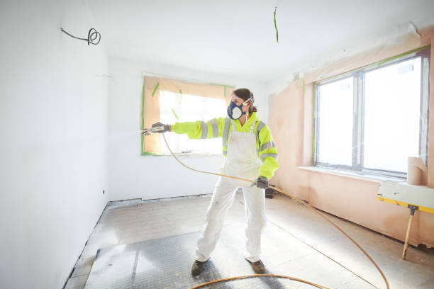 Best Black Mold Removal  in Country Knolls, NY