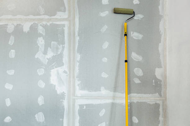  Country Knolls, NY Mold Removal Pros