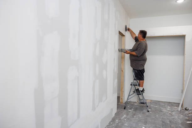Best Comprehensive Air Testing for Mold Contaminants  in Country Knolls, NY