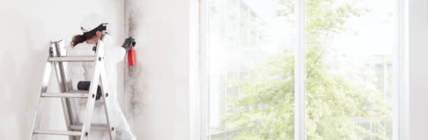 Best Industrial Mold Remediation  in Country Knolls, NY